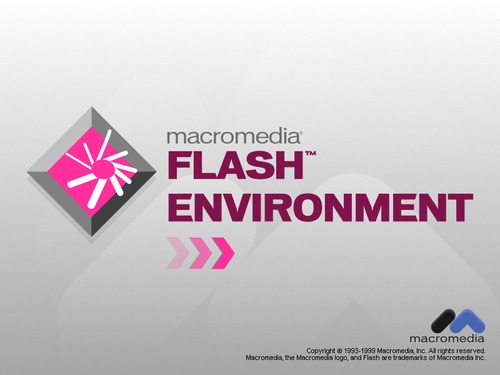 Flash Environment