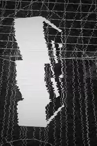 Zenless Zone Zero banner